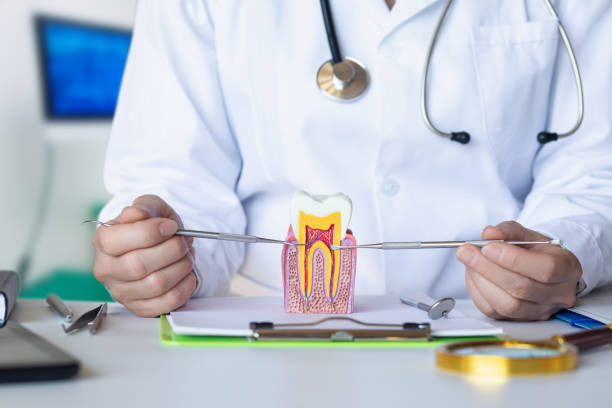 , LA Emergency Dental Service Company